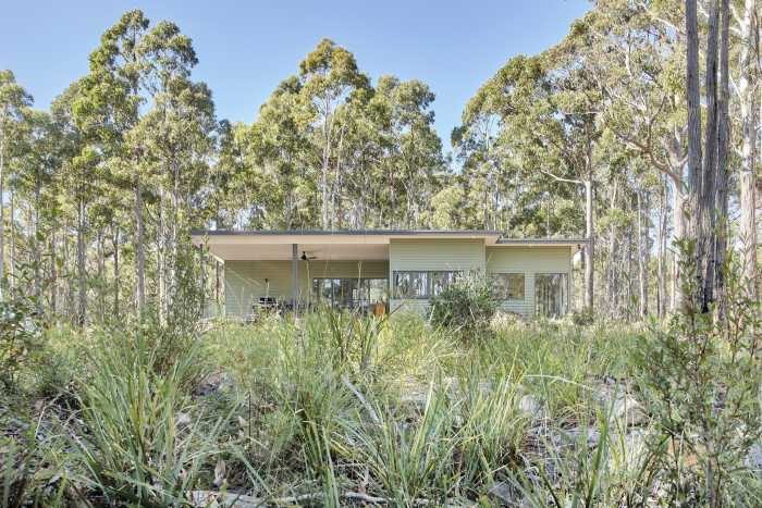 Stylish Bush Home with Green Cladding